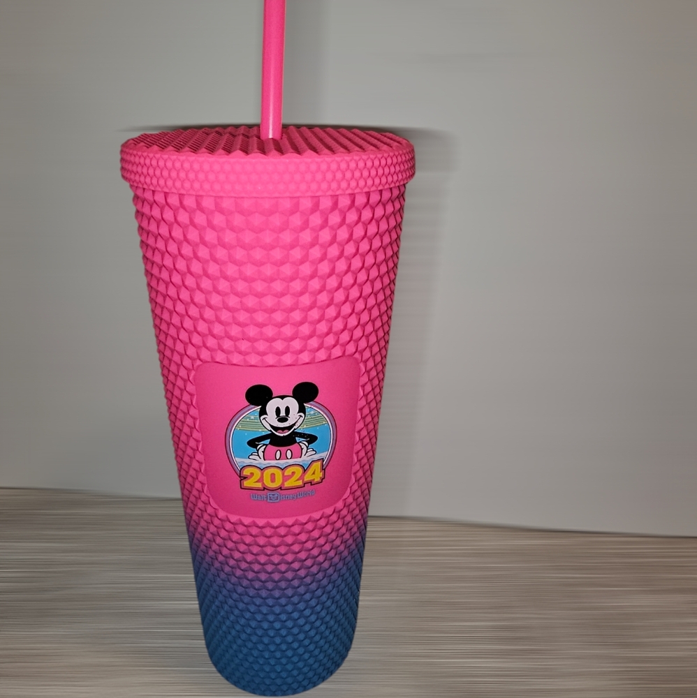 Starbucks Disney 2024 Venti Tumbler